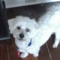 Photo of Reggie