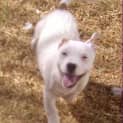 Photo of Taco
