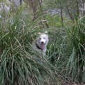 Photo of Lacie
