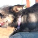 Photo of Nina Hd449