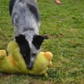 Photo of Murphey