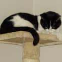 Photo of Turbo