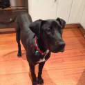 Photo of Larnie