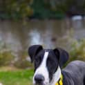 Photo of Gus