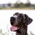 Photo of Olive 