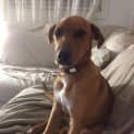Photo of Spud