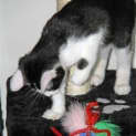 Photo of Lukey