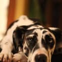 Photo of Keesha