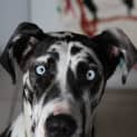 Photo of Keesha