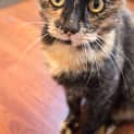Photo of Tia