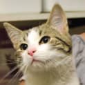 Photo of Maxie