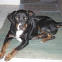 Photo of Razz