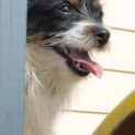 Photo of Winnie