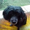 Photo of Jazmine