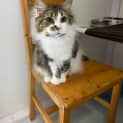 Photo of Princess