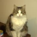 Photo of Farrer
