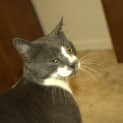 Photo of Marty