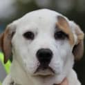 Photo of Lani