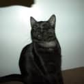 Photo of Myer