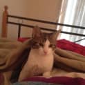 Photo of Maxie