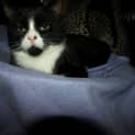 Photo of Trip