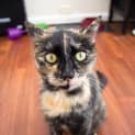 Photo of Tia