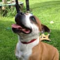 Photo of Rosie