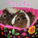 Photo of Fifi And Fern