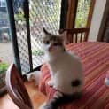 Photo of Casper