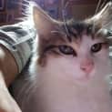 Photo of Casper