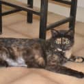 Photo of Spice