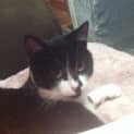 Photo of Jemima (Located In Cheltenham)