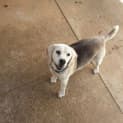 Photo of Basil (Adopted)
