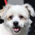 Photo of Jerry
