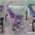 Photo of Luna Fee Reduced
