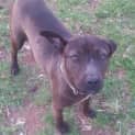 Photo of Luna Fee Reduced