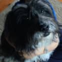 Photo of Duke