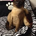 Photo of Princess