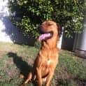 Photo of Renji