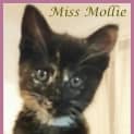 Photo of Miss Mollie