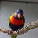 Photo of Spark