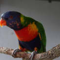 Photo of Spark