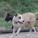 Photo of Bertha