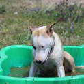 Photo of Bertha