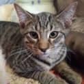 Photo of Seeka