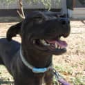 Photo of Luna Fee Reduced