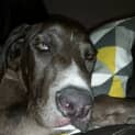 Photo of Busta