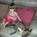 Photo of Gidget (On Trial 25/11/14) ~ Good With Kids&Dogs