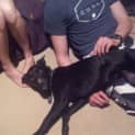 Photo of Alpha