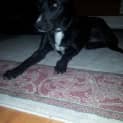 Photo of Alpha